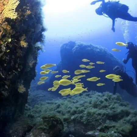 Petit A 3 Kms De La Lägenhet