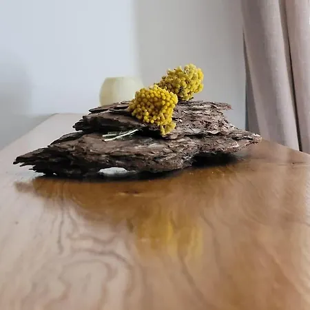 Petit A 3 Kms De La Lägenhet Belgodère