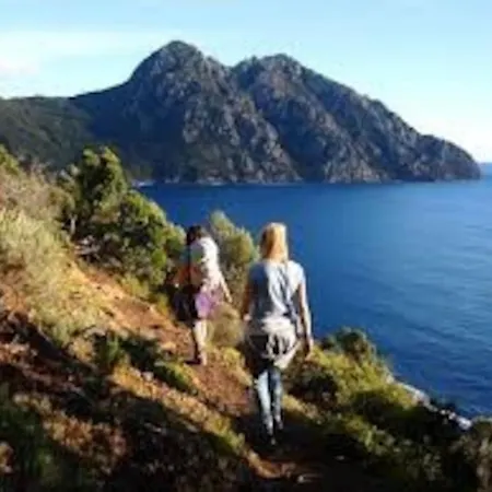 Petit A 3 Kms De La Belgodère