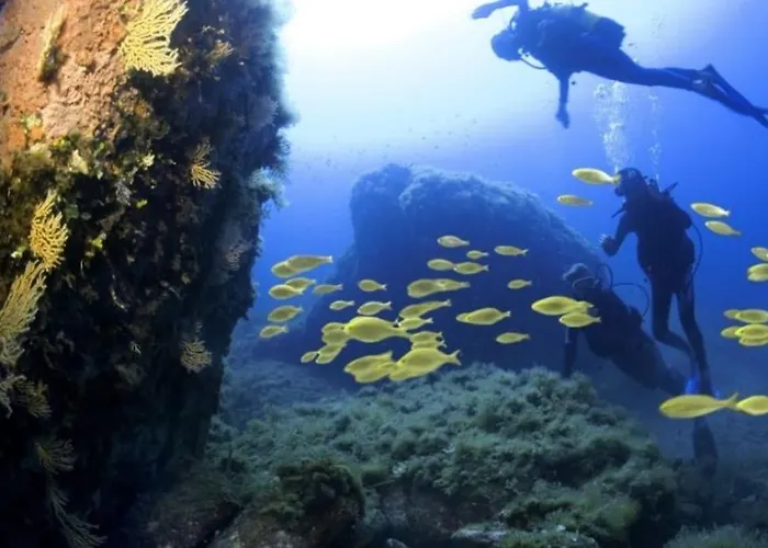Petit A 3 Kms De La Appartement