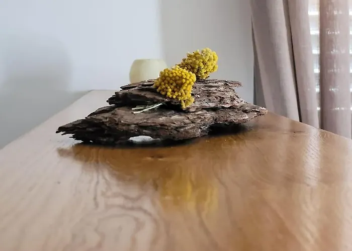 Petit A 3 Kms De La Appartement Belgodère