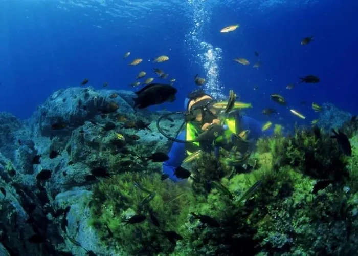 Petit A 3 Kms De La Appartement Belgodère