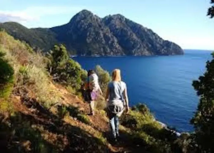 Petit A 3 Kms De La Belgodère