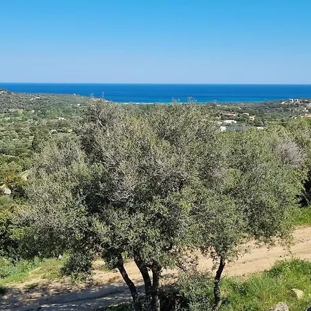 Petit A 3 Kms De La * Belgodère
