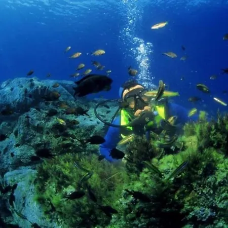 Petit A 3 Kms De La Lejlighed Belgodère