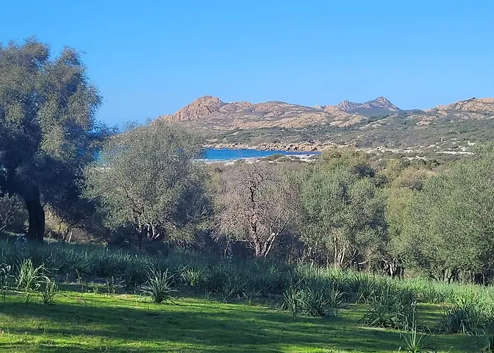 Petit à 3 Kms De La